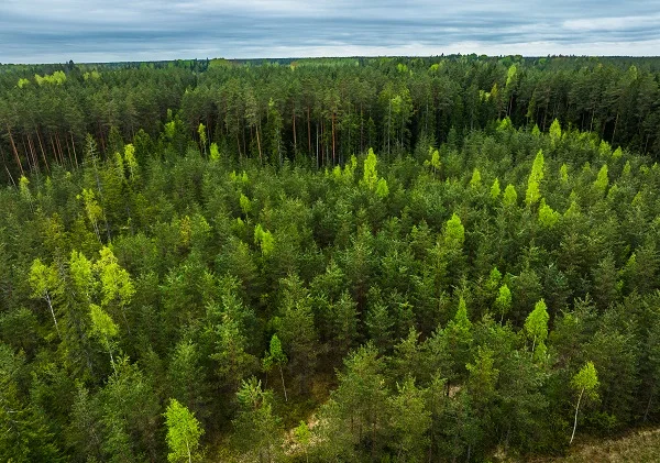 Valsts kontrole atklāj miljonu zaudējumus LVM pārvaldībā
