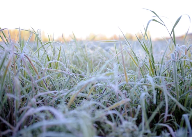 Maija beigās Latvijā gaidāms būtisks temperatūras kritums