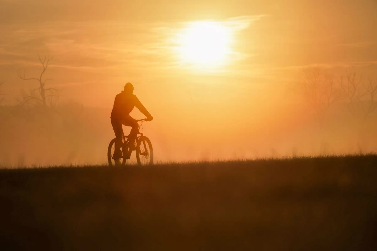Grants ceļu atputekļošanai šogad atvēlēs 700 000 eiro