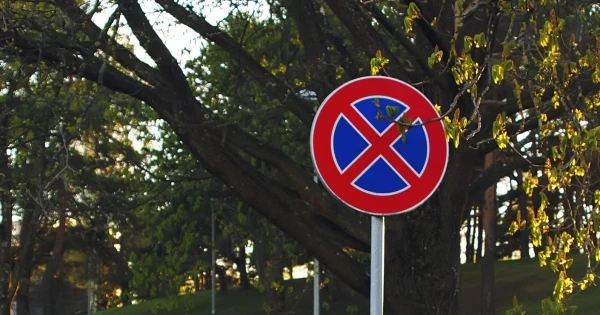 Rinkēvičs tiekas ar Albānijas parlamenta spīkeru Niko Peļešu