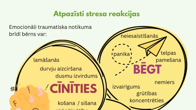 Bērnu aizsardzības centrs izdod rokasgrāmatu emocionālām traumām