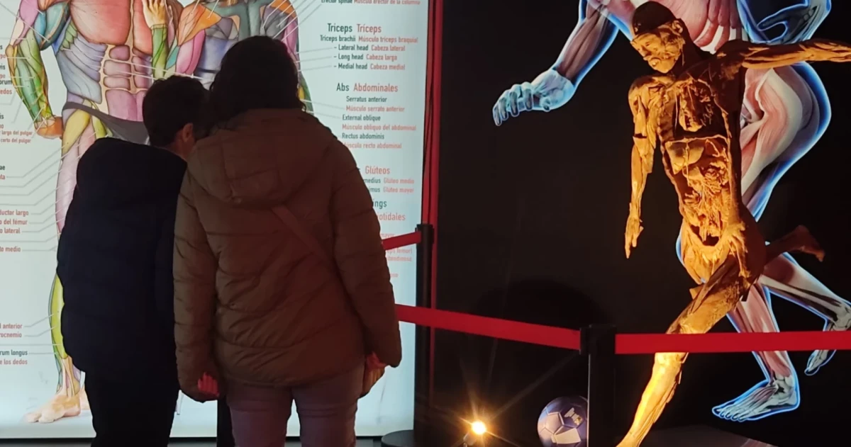 В рижском Teika Plaza открылась выставка Bodies Evolution