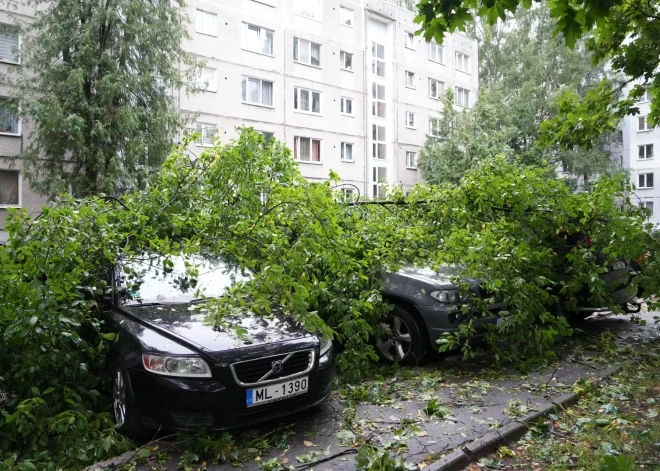 ”Sadales tīkls” brīdina par gaidāmo vētru un iespējamiem traucējumiem