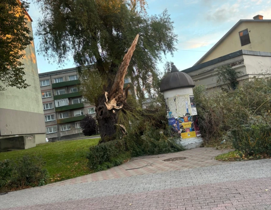 Vētrā Ventspilī nolauzti aptuveni 20 koki